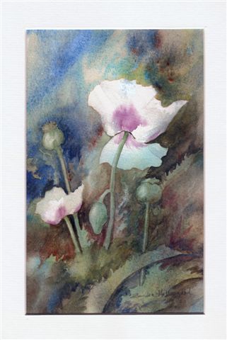 2006 White Poppies  Watercolour
